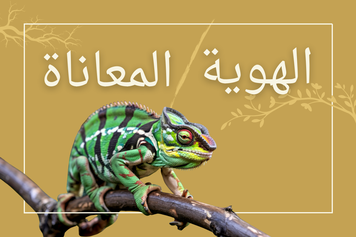 رواية تمويه: المعاناة الحتمية بسبب الهوية